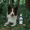 Espian Green Spa Deep Cleansing Dog Shampoo Pro, Korean pet shampoo