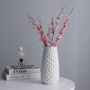 Modern Nordic Ceramic Vase for Hydroponic and Dried Flowers - Chinese Style Home Decor