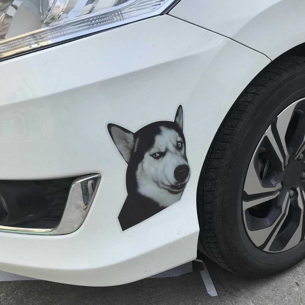 Autoaufkleber, Decals Wasserdicht Husky Hund für Boot Kratzaufkleber