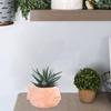 Creative Silicone Planter Mold Unique Succulent Vase Molds Fish Shape Flexible Silicone Molds Gift for Craft Enthusiasts