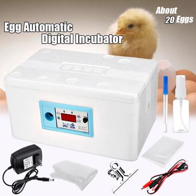 Automatisk Temperaturkontroll Digital Vattenbädds Inkubator Kycklingkläckare DC12V