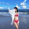 Beach Vacation Hot Spring Seaside Bikini Swimsuit Women Big Breasts Gather Small Breasts Sexy Three-point Swimsuit Women