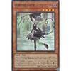 Yu-Gi-Oh! DBTM-JP017 Arianna, Servant of the Silver Castle (Japanese Super Rare) Tactical Masters
