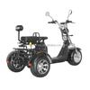 Germany Warehouse Citycoco 2000W 60V Tricycle Trike Motorcycle Scooter Electric 3 Wheel Electric Scooter Electric Scooter Adults
