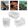 Reptile Feeding Box Turtle Transport Container Mini for Frog Scorpion Gecko