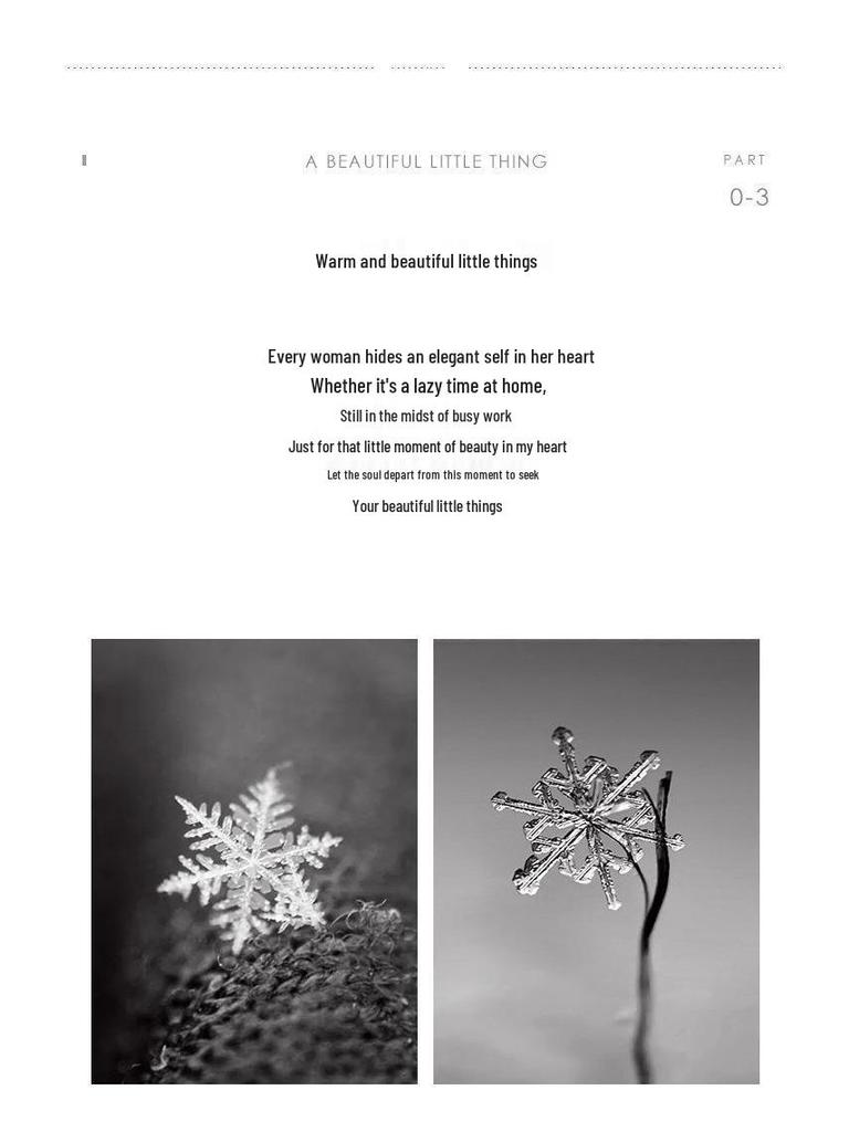 925 Sterling Silver Snowflake Stud Earrings - Elegant Korean Style, Perfect Christmas or Birthday Gift for Women