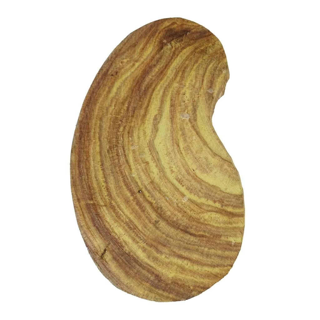 Brown Hand Carved Paisley Stamp Printing Block Wooden Textile Stamp Block
