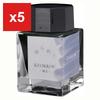 Sailor Fountain Pen Bottled Ink, Yurameku Kyokkou (Aurora), Dye-Based, 20ml, 13-1529-205