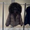 Winter increase natural real raccoon fur collar placket goose down jacket versatile high-end sense loose warm jacket women