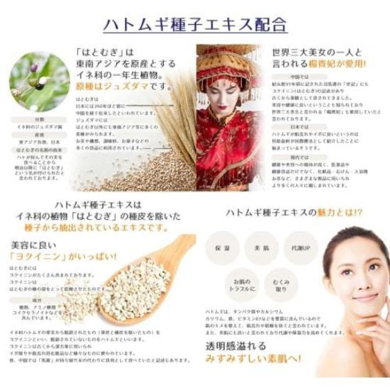 Reihaku Hatomugi Gesichtswaschschaum 170g