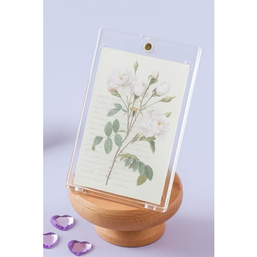 Photo Card Case Top Loader