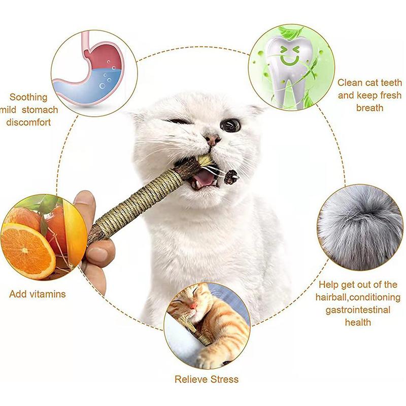 Interactive Self Playing Catnip Molar Stick Cat Chew Toys Teeth Cleaning Bite Squeaky Cat Toy for Indoor Cat Dental Health