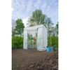 Nature Serre de jardin H200 x 198 x 78cm - 1.54m²