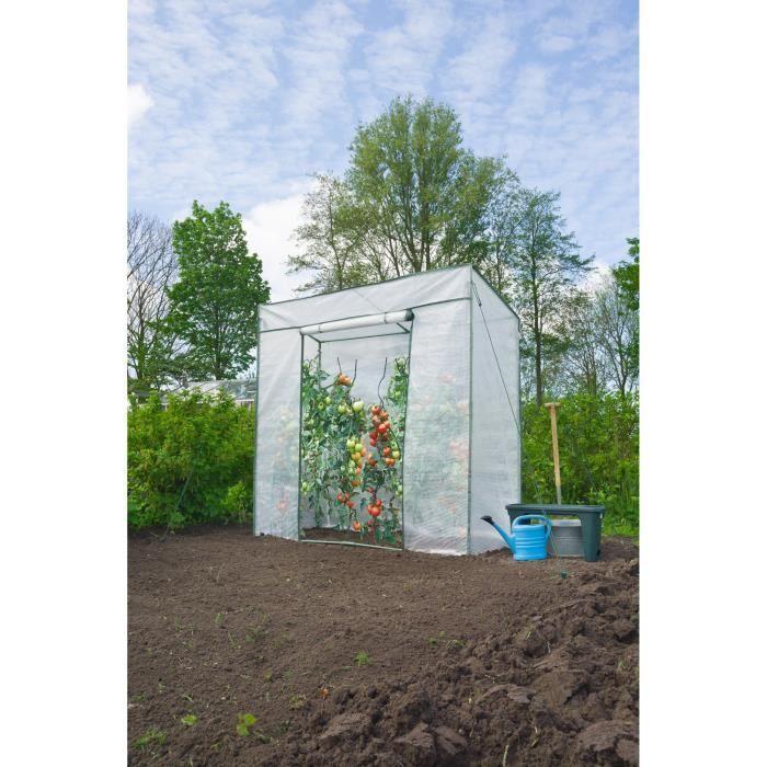 Nature Serre de jardin H200 x 198 x 78cm - 1.54m²