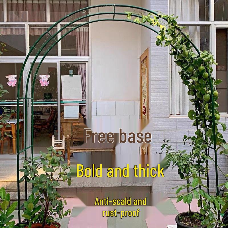 Rust-Proof Arch Trellis: Reinforced Climbing Vine Stand for Indoor/Outdoor Gardens and Courtyards.