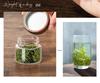 Transparent Borosilicate Glass Tea Canister: Airtight Storage Jar for Herbs, Snacks, Grains & More