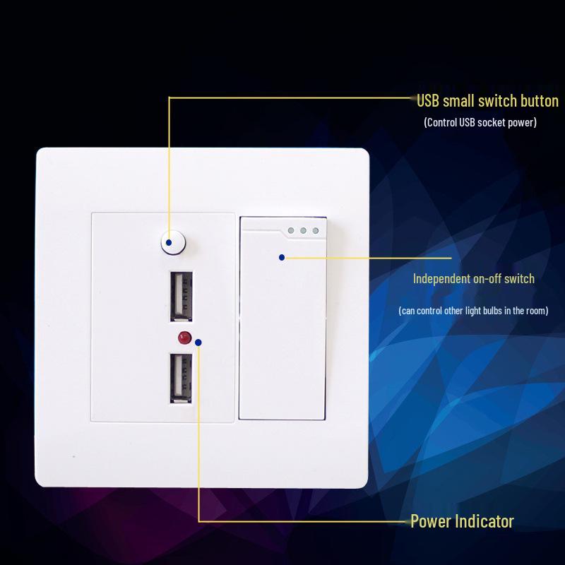 Type 86 Wall Single Pole Double Throw Switch with Dual USB Socket for Household