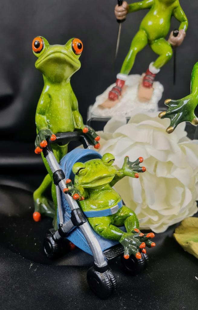 Frog with a Stroller