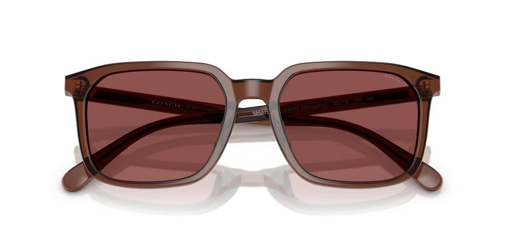 Sunglasses 0HC8411U TRANSPARENT MAHOGANY 55 [Coach]