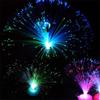 Stunning Christmas Color Changing Led Fiber Optic Night Light For Home Decoration