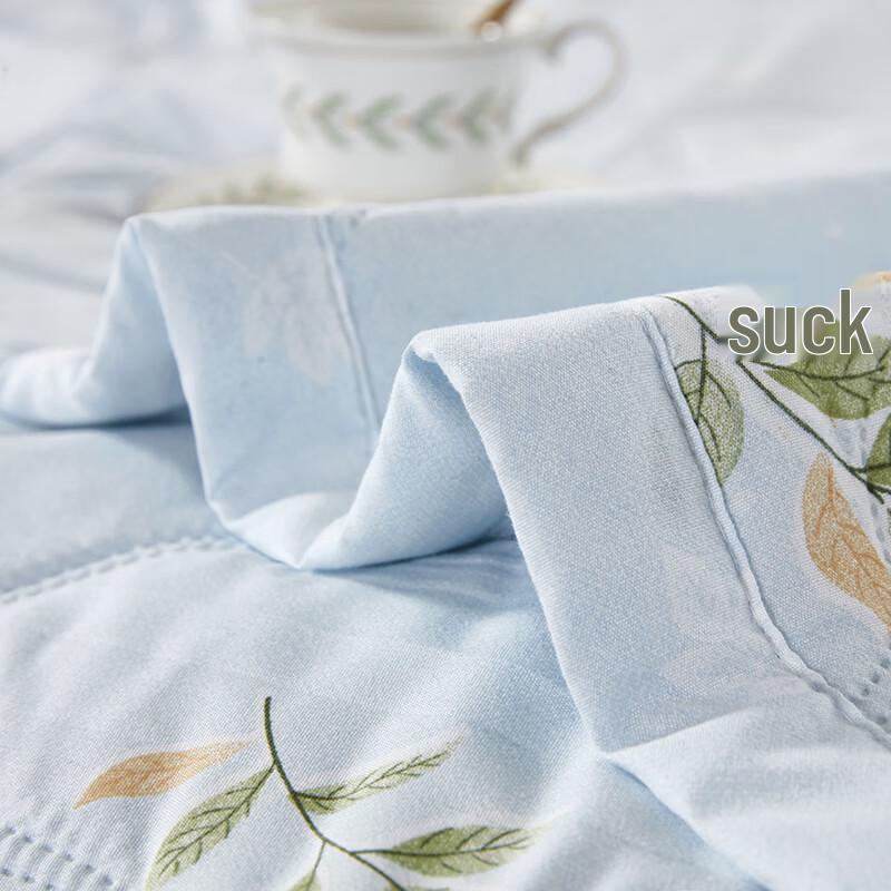 Bijiaman Bamboo Charcoal Antibacterial Summer Eco Quilt