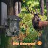 4G LTE Trail Camera Live Streaming 2K 30MP Night Vision 0.3s Trigger Time 120 degrees  Wide Sensor Hunting Camera