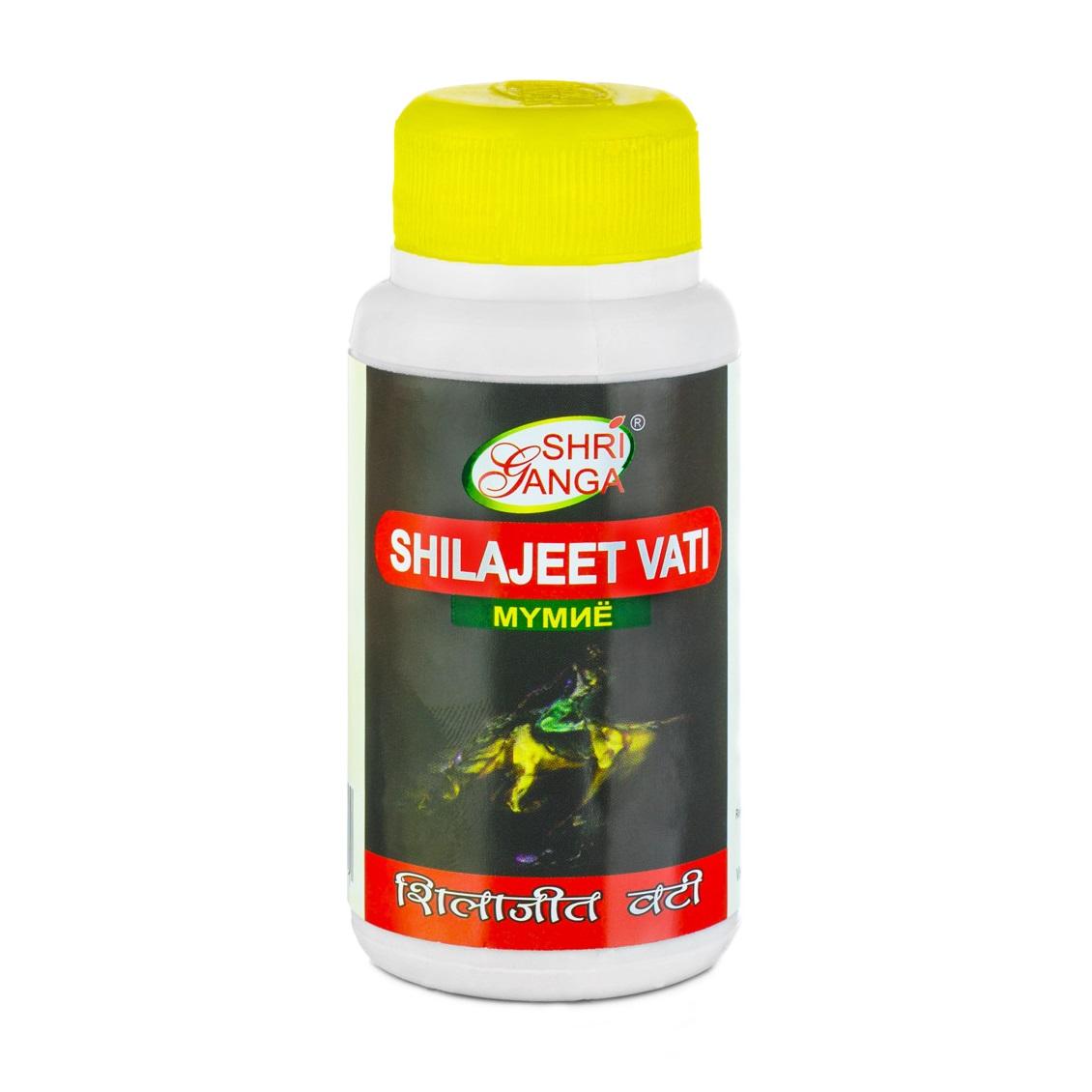 

Шиладжит Вати (100 г), Shilajeet Vati, Shri Ganga Pharmacy