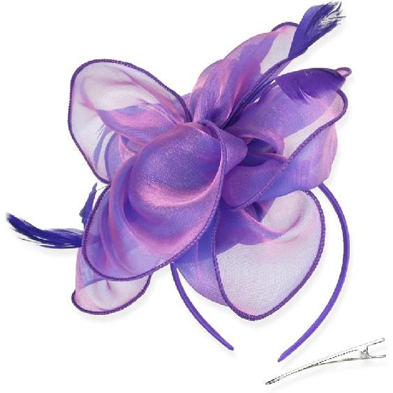 DRESHOW Fascinators Hat Tea Party Headwear Ribbons Feathers on a Headband and a Clip for Women