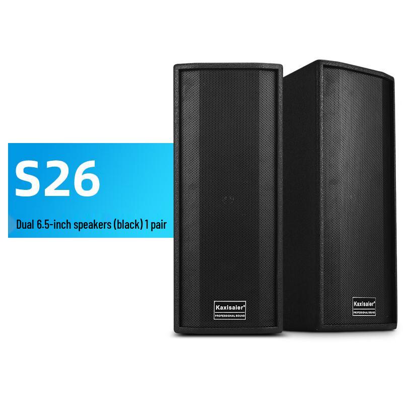 KAXISAIER Professional Passive Conference Speaker