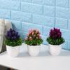 Wedding Desktop Ornament Christmas Fake Potted Simulation Bonsai Artificial Flower Plastic Plant