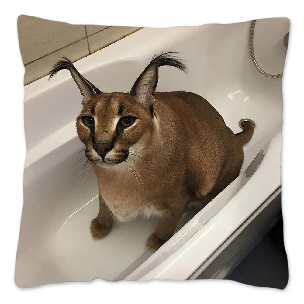 Capa de Almofada Meme Fofo Floppa 40x40 Decoração de Casa Dakimakura Engraçada Gato Caracal Capa de Almofada para Sala de Estar Housse De Coussin