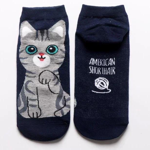 5Pairs Set 3D Cartoon Lovely Cat Puppy Dog Soft Pure Cotton Anklet Socks Harajuku Kawaii Versatile Breathable Casual Short Socks