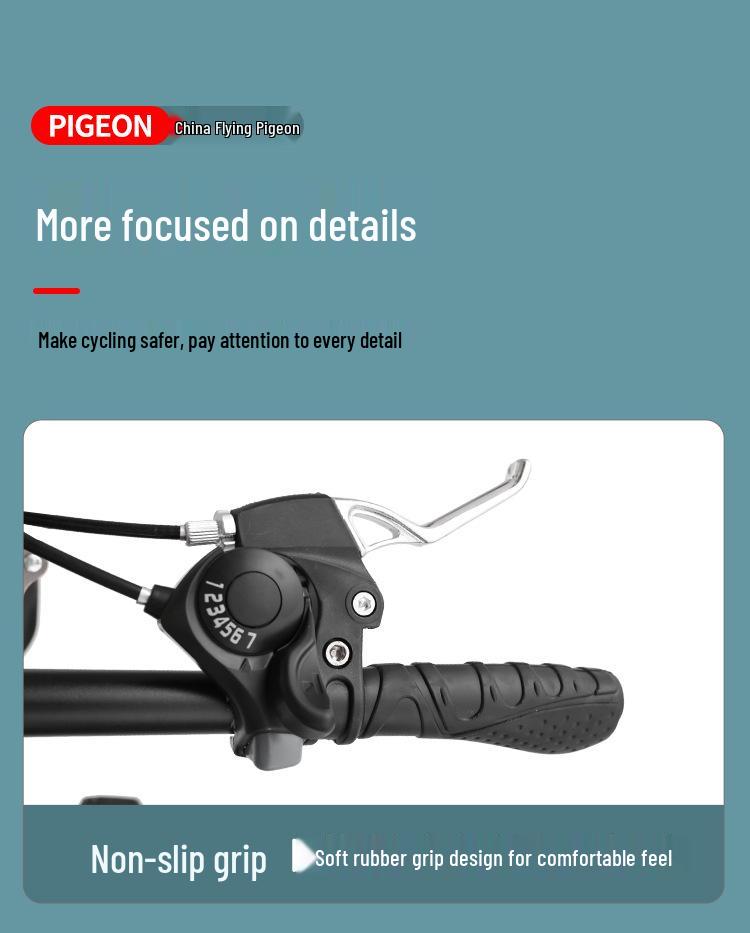 Flying Pigeon 20" Foldable Adult Variable-Speed Commuter Bicycle