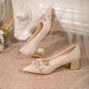 Fashion Low-heeled Temperament Single Shoes for Women 2025 Spring and Autumn Thick Heel Soft Sole Pointed Toe Shallow Mouth
