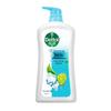 Dettol Duschgel Familienpackung