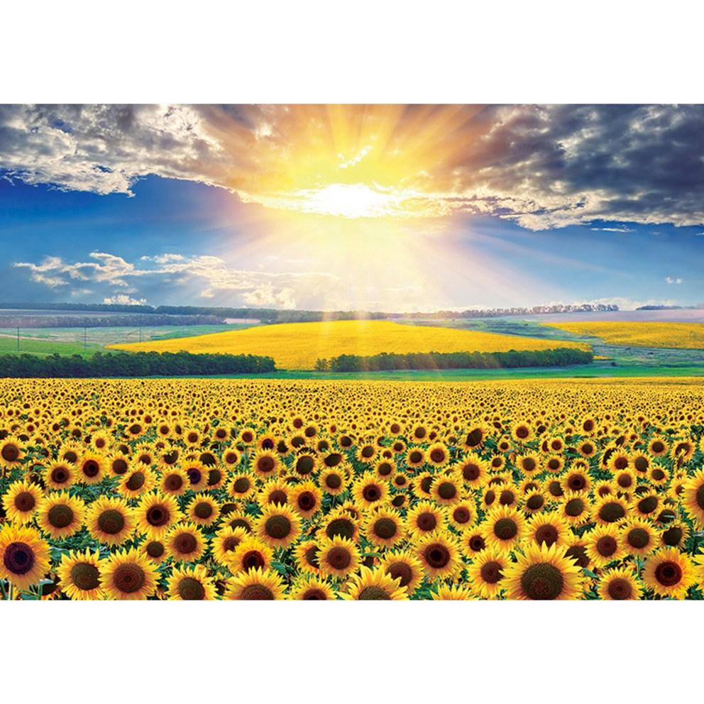 PuzzleLife Radiant Sunflower Field Jigsaw Puzzle PL1405