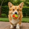 High Elastic Dog Elastic Ball Toy Colorful Dog Tooth Cleaning Toy Pet Chewing Toy  Training