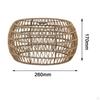 Lampshade Braided Pendant Lamp Cover