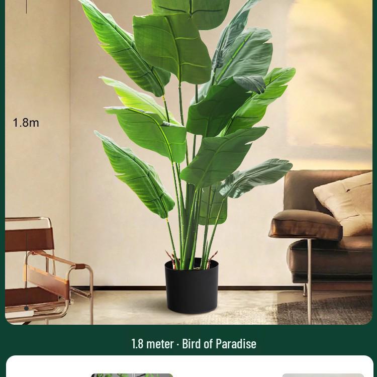 High-End Indoor Bird of Paradise Decor: Luxury Potted Traveler's Palm