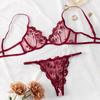 European & American Ultra-Thin Lace Embroidered Lingerie Set: Sexy Bra & Panties