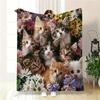 Floral Kitten Collage Blanket - Soft Fleece Cat Print Throw for Couch Bed, Cute Kitten In Flowers Cozy Blanket for Cat Lovers