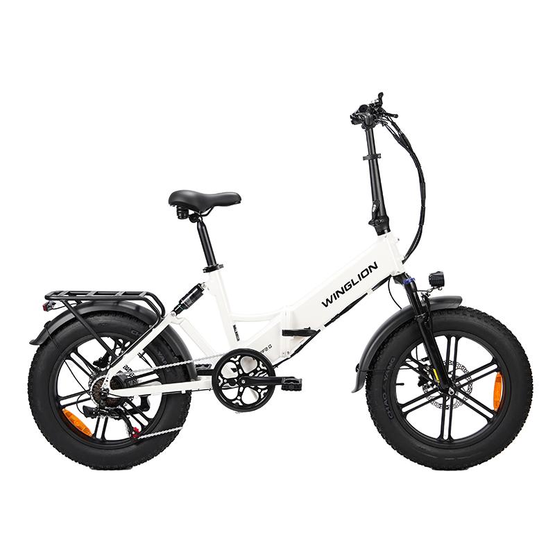 Skládací elektrické kolo PULUMA ebike-FF2.0.48 V 15AH, Dvouprvkové odpružení vidlice, 20*4.0 široké pneumatiky, Dojezd 80 km s asistencí, Městské elektrické kolo pro dojíždění