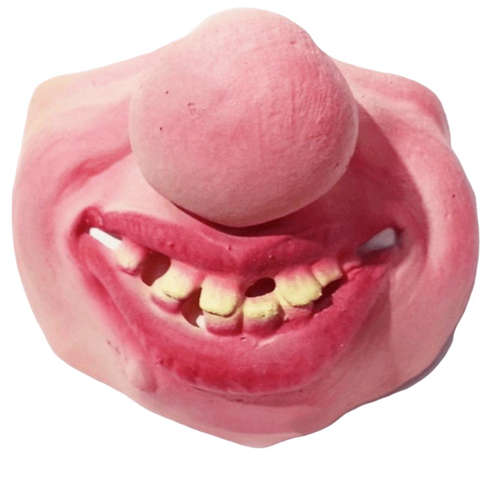 Anti-Bite Smiling Teeth Pet Muzzle Anti-Scavenge Grinning Dog Mask  Dog Cross Dressing