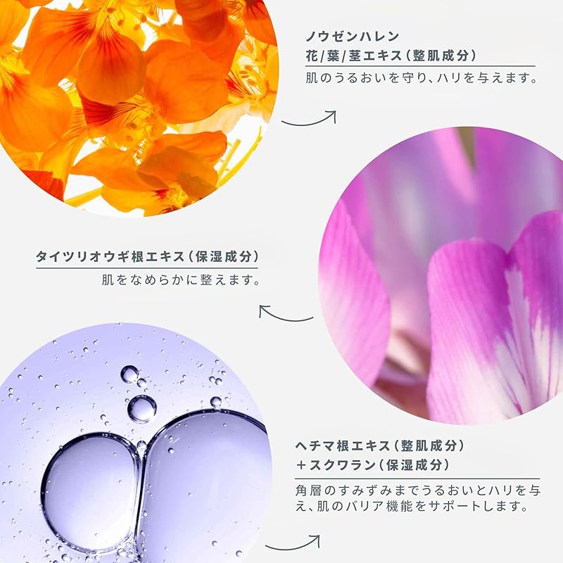 dermalogica (Dermalogica) PhytoN OXG cream 50ml moisturizing cream aging care Hari Contains plant-derived ingredients paraben free alcohol free