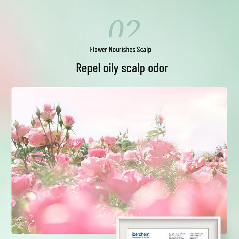 Adoff Cleansing & Refreshing Shampoo