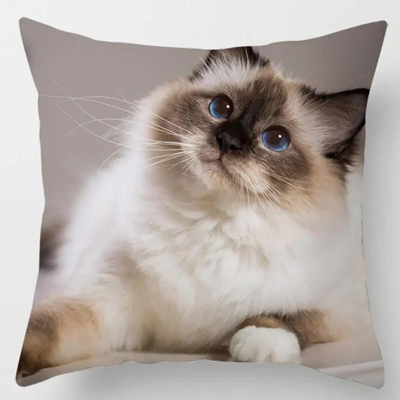 45X45CM Cat Collection Pillowcase Home and Office Decor Square Pillowcase