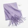 Autumn and winter solid color imitation cashmere beard scarf women's versatile shawl scarf light luxury style