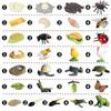 Mini Animal Growth Cycle Toys: Butterfly, Rooster, Ant, Frog, Sea Turtle, Dragonfly