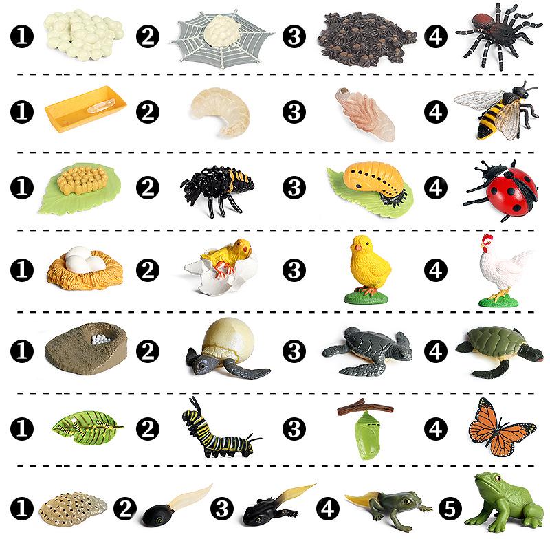 Mini Animal Growth Cycle Toys: Butterfly, Rooster, Ant, Frog, Sea Turtle, Dragonfly