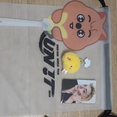 Stray Kids' Final Concert SKZ Runit Entry Gift